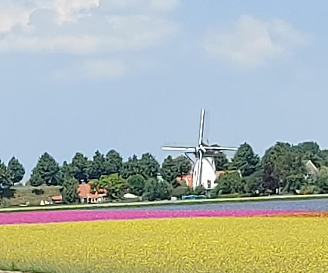 Apartmán De Nieuwe Stal Scherpenisse Exteriér fotografie