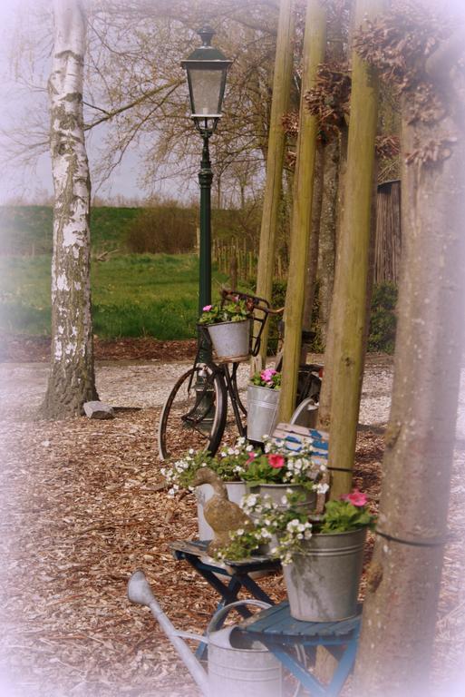 Apartmán De Nieuwe Stal Scherpenisse Exteriér fotografie