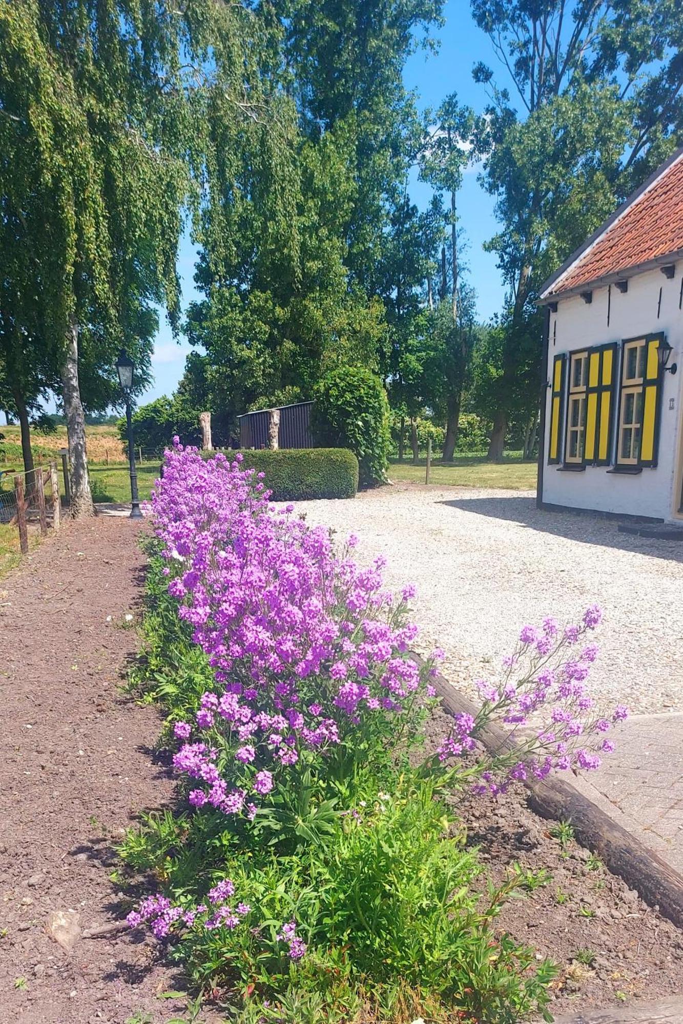 Apartmán De Nieuwe Stal Scherpenisse Exteriér fotografie